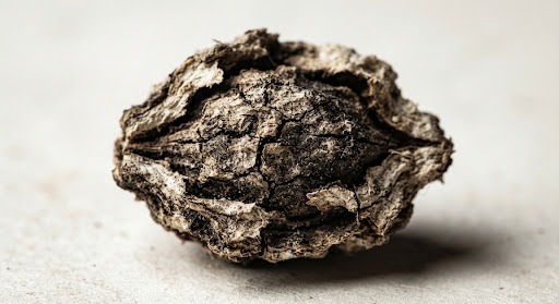 Macro study of raw botanical ingredient texture