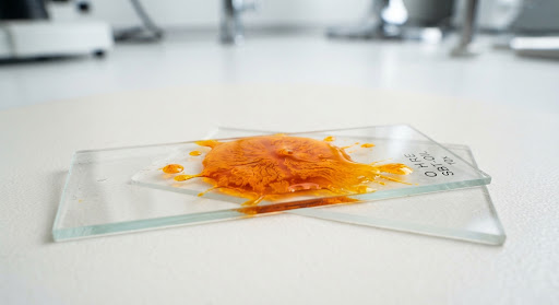 Macro specimen plate of cold-pressed sea buckthorn oil